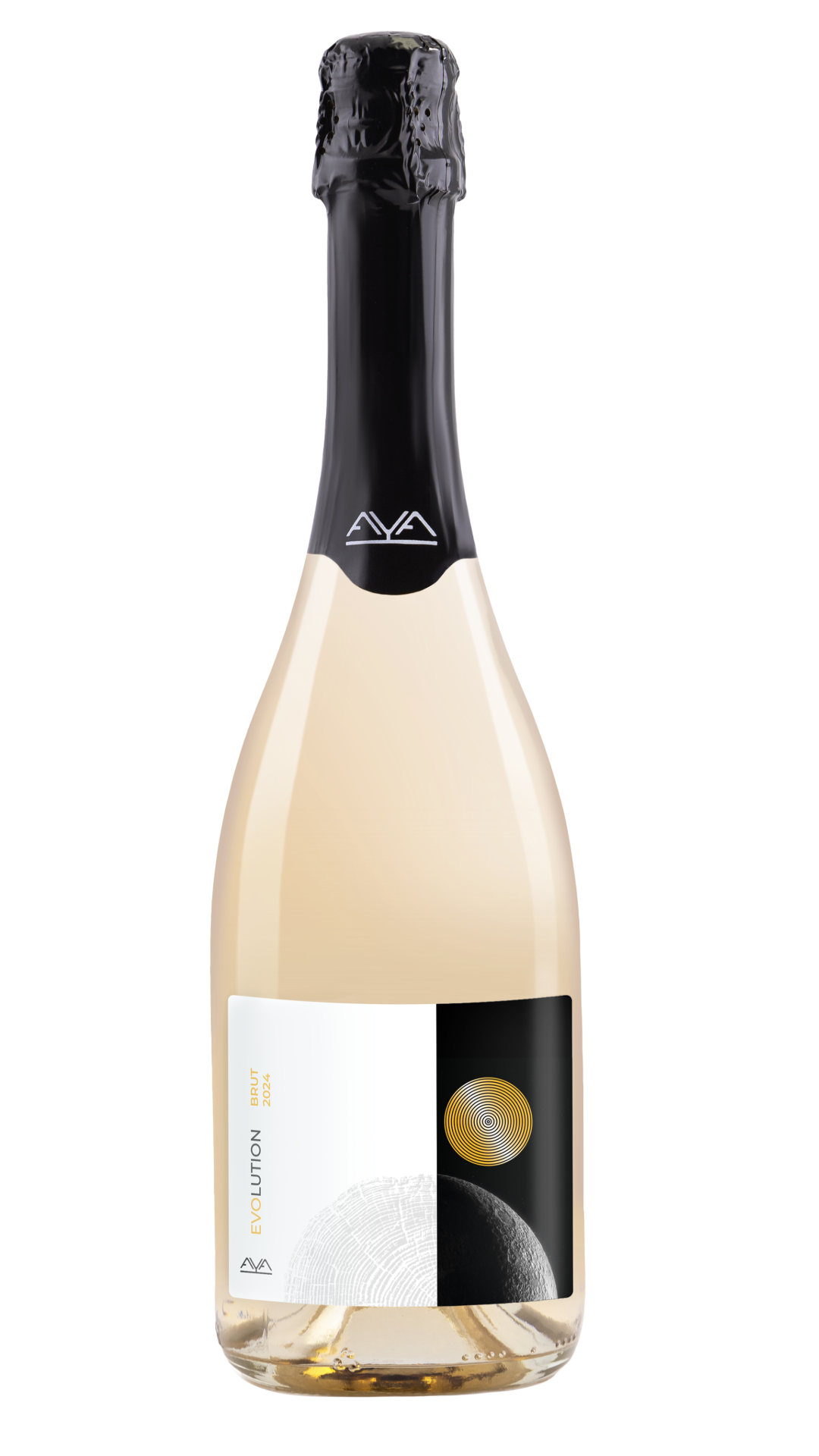 Evolution pinot noir 2024