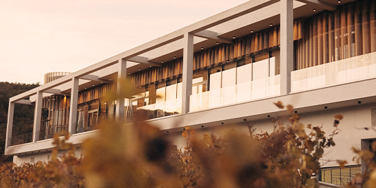 Широкая Масленица в AYA: Круг Солнца | 21 февраля