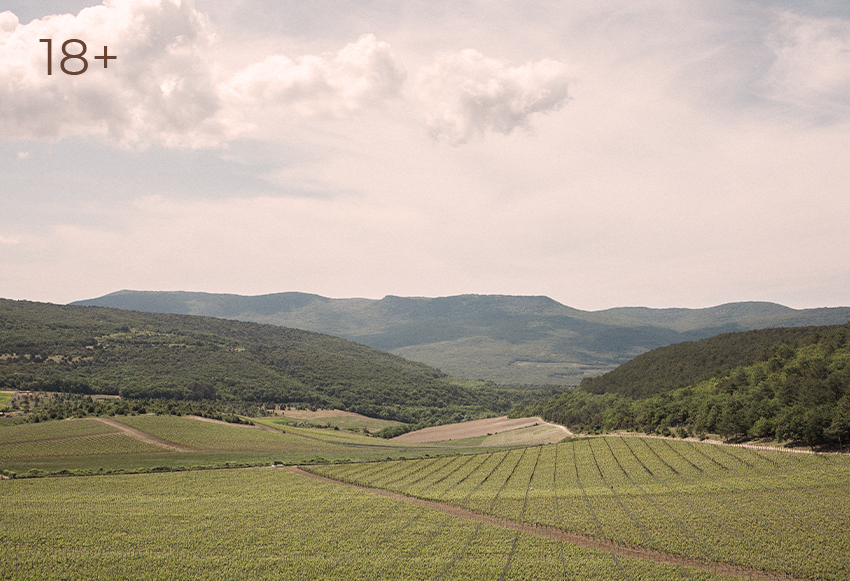 Вино и Музыка