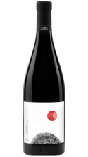 Evolution pinot noir