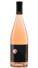 Evolution pinot noir