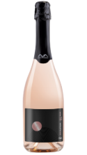 Evolution pinot noir